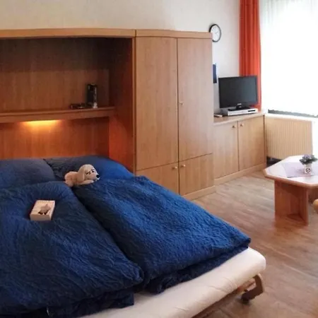 Apartmenthaus Solino Willingen  Exterior photo